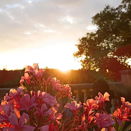 De Charme Atypique Vue Panoramique *