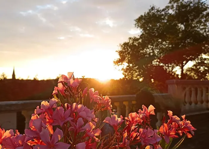 De Charme Atypique Vue Panoramique *